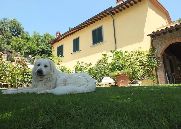 Villa Le Celle Del Farinaio *